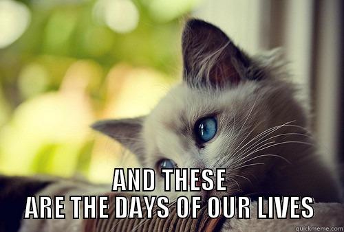 first world problems cat -  AND THESE ARE THE DAYS OF OUR LIVES First World Problems Cat