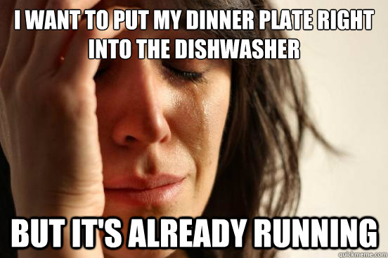 I want to put my dinner plate right into the dishwasher But it's already running  First World Problems