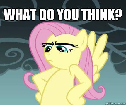 WHAT DO YOU THINK?   Angry Fluttershy