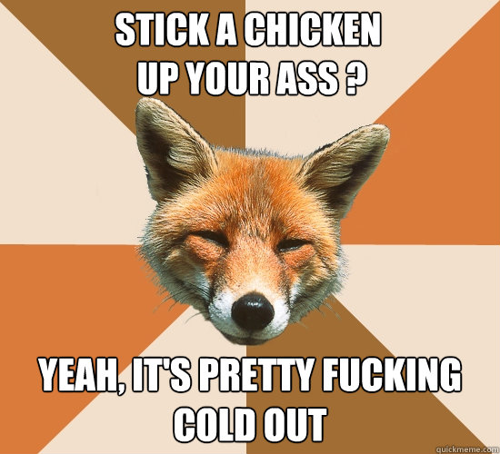 Stick a chicken
 up Your Ass ?
 yeah, it's pretty fucking cold out  Condescending Fox