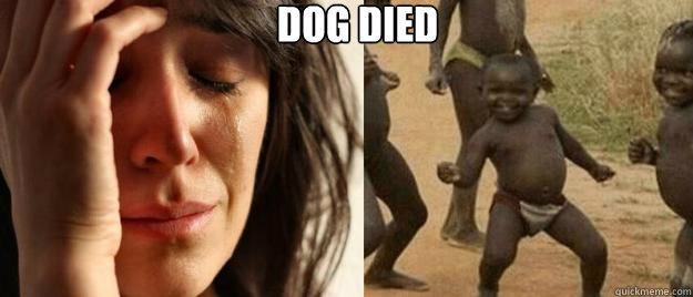 dog died    First World Problems  Third World Success