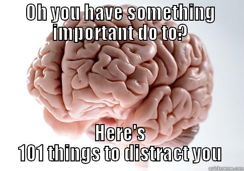 OH YOU HAVE SOMETHING IMPORTANT DO TO? HERE'S 101 THINGS TO DISTRACT YOU Scumbag Brain