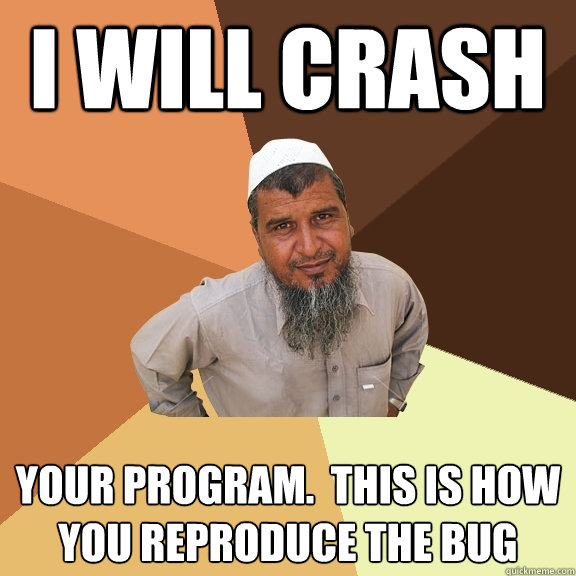 i will crash your program.  this is how you reproduce the bug - i will crash your program.  this is how you reproduce the bug  Ordinary Muslim Man