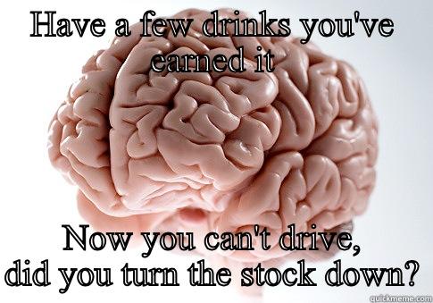 HAVE A FEW DRINKS YOU'VE EARNED IT NOW YOU CAN'T DRIVE, DID YOU TURN THE STOCK DOWN? Scumbag Brain