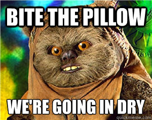 bite the pillow We're going in dry
  Rape Ewok