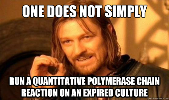 One Does Not Simply Run a Quantitative Polymerase Chain Reaction on an expired culture   Boromir