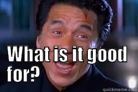  WHAT IS IT GOOD FOR?                          Misc