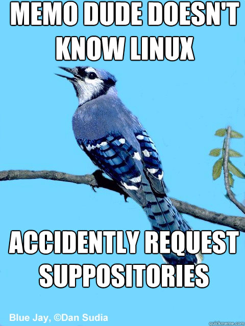 Memo dude doesn't know linux Accidently request suppositories  Blue Team Bird