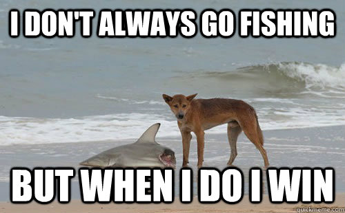 I don't always go fishing but when i do i win  Bad Ass Dog