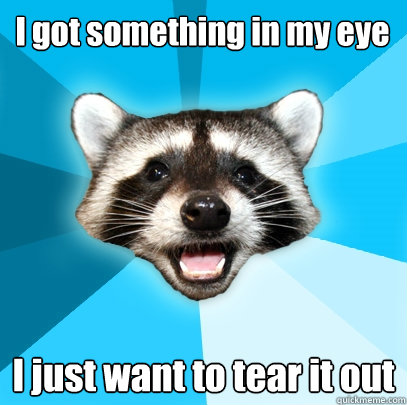 I got something in my eye I just want to tear it out  Lame Pun Coon