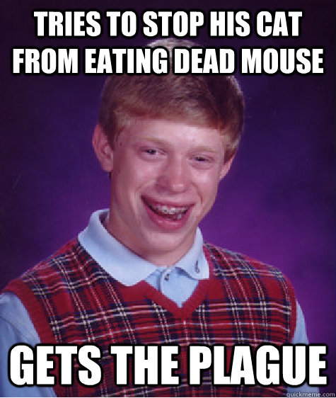 Tries to stop his cat from eating dead mouse Gets the plague - Tries to stop his cat from eating dead mouse Gets the plague  Bad Luck Brian