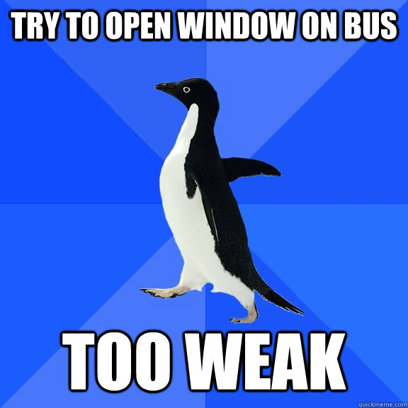 Try to open window on bus Too weak  Socially Awkward Penguin