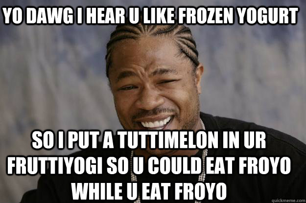 YO DAWG I HEAR U LIKE FROZEN YOGURT so I PUT A TUTTIMELON IN UR FRUTTIYOGI SO U COULD EAT FROYO WHILE U EAT FROYO - YO DAWG I HEAR U LIKE FROZEN YOGURT so I PUT A TUTTIMELON IN UR FRUTTIYOGI SO U COULD EAT FROYO WHILE U EAT FROYO  Xzibit meme