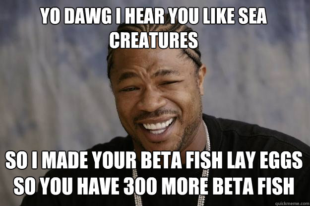 YO DAWG I HEAR YOU LIKE SEA CREATURES so i made your beta fish lay eggs so you have 300 more beta fish - YO DAWG I HEAR YOU LIKE SEA CREATURES so i made your beta fish lay eggs so you have 300 more beta fish  Xzibit meme