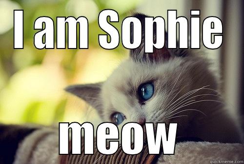 I AM SOPHIE MEOW First World Problems Cat