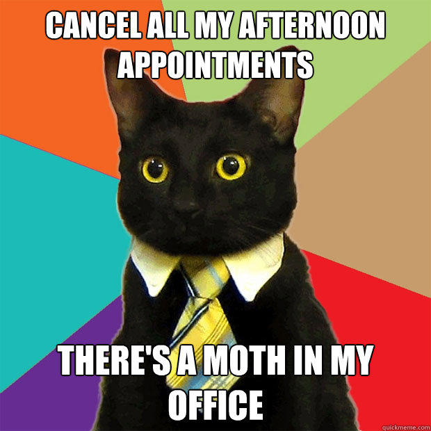 Cancel all my afternoon appointments There's a moth in my office  