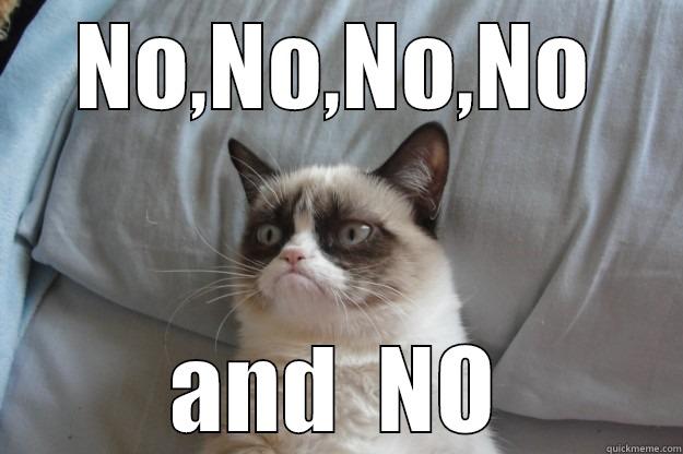 NO,NO,NO,NO AND  NO Grumpy Cat