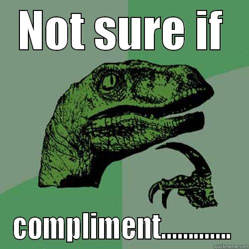 NOT SURE IF COMPLIMENT............. Philosoraptor