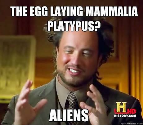 the egg laying mammalia platypus? aliens  Ancient Alien Guy