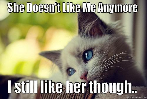 SHE DOESN'T LIKE ME ANYMORE I STILL LIKE HER THOUGH.. First World Problems Cat