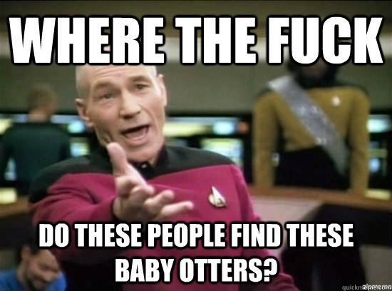 Where the fuck do these people find these baby otters?  Annoyed Picard HD