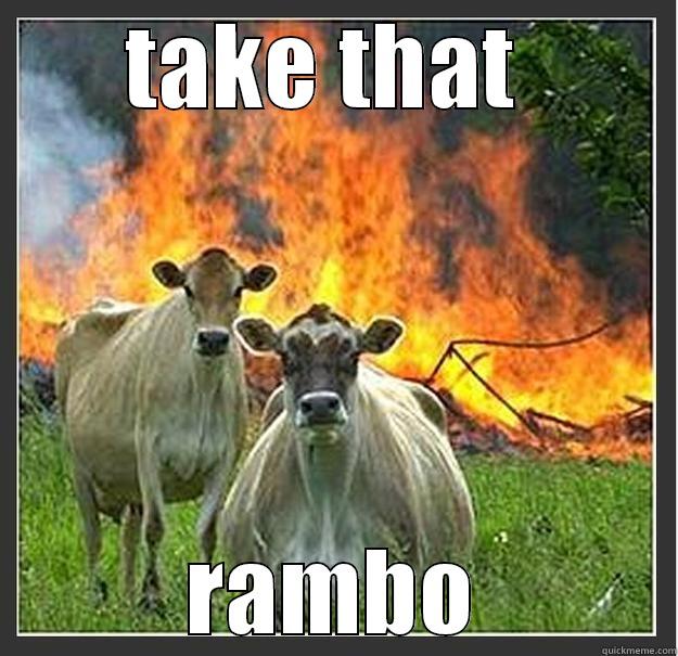 TAKE THAT  RAMBO Evil cows