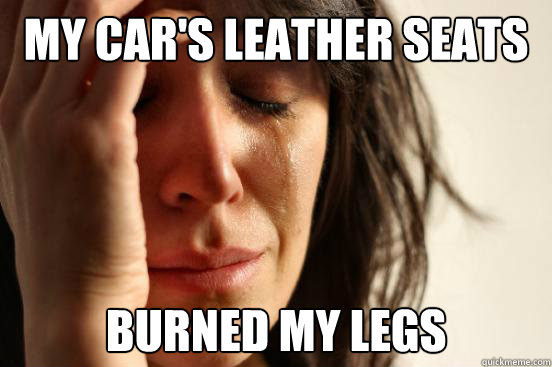 My car's leather seats burned my legs  First World Problems