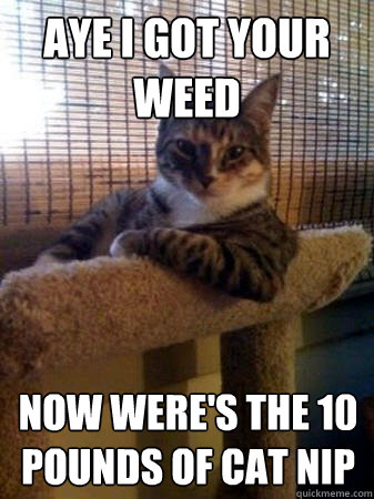 Aye i got your weed  now were's the 10 pounds of cat nip  The Most Interesting Cat in the World