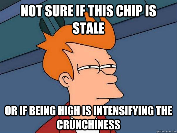 Not sure if this chip is stale Or if being high is intensifying the crunchiness  Futurama Fry