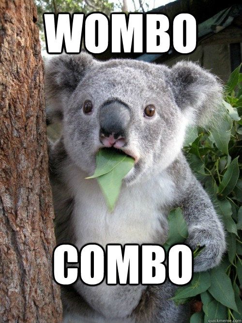 wombo combo  koala bear