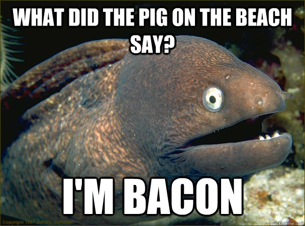 what did the pig on the beach say? i'm bacon - what did the pig on the beach say? i'm bacon  Bad Joke Eel