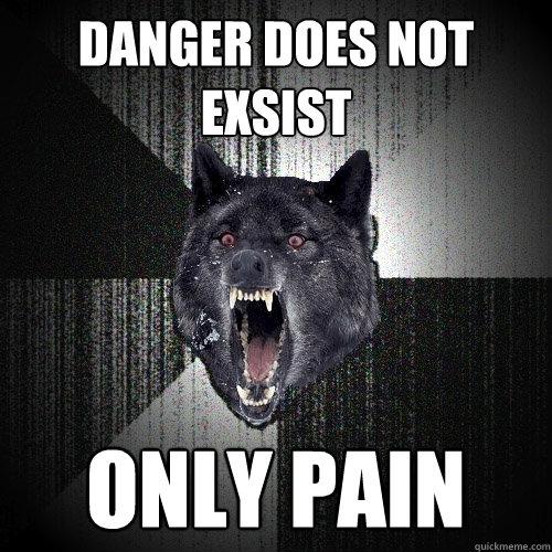 DANGER DOES NOT EXSIST ONLY PAIN  Insanity Wolf