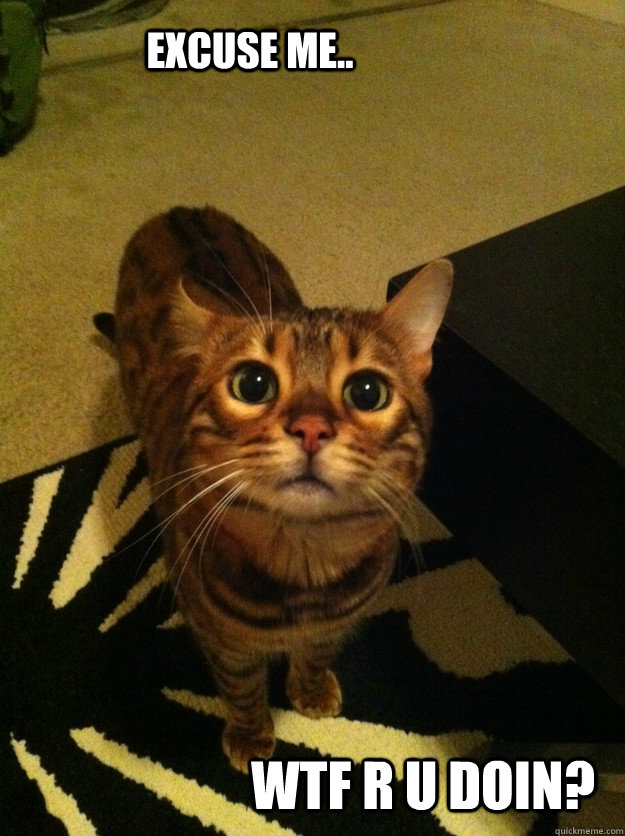 Excuse me.. WTF r u doin? - Excuse me.. WTF r u doin?  Misc