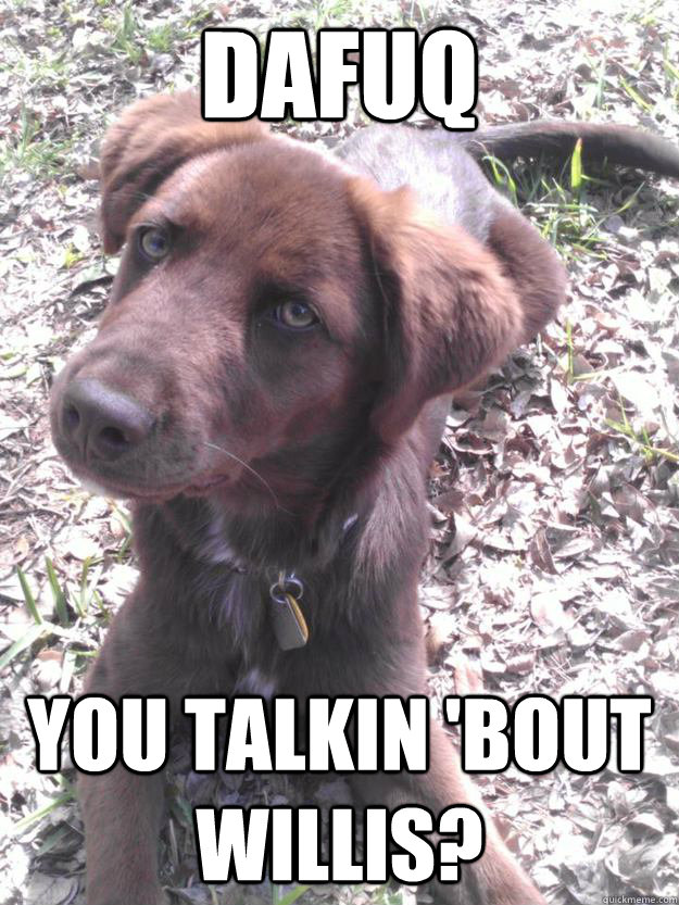 Dafuq you talkin 'bout Willis? Dafuq Puppy quickmeme