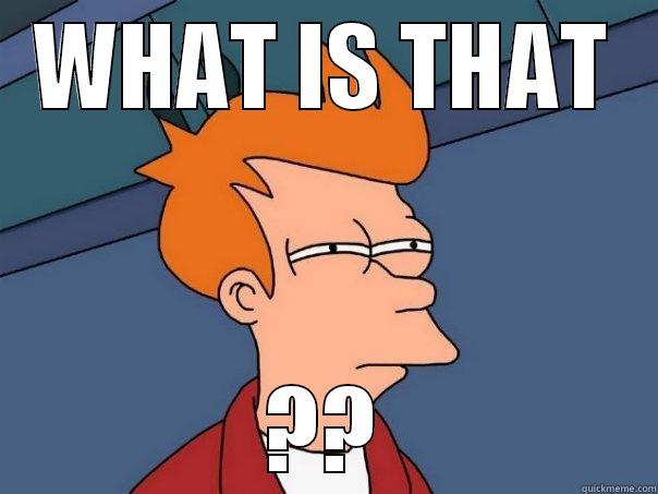 WHAT IS THAT ?? Futurama Fry