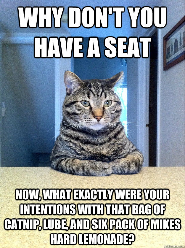 Why don't you have a seat Now, what exactly were your intentions with that bag of catnip, lube, and six pack of mikes hard lemonade?  Chris Hansen Cat