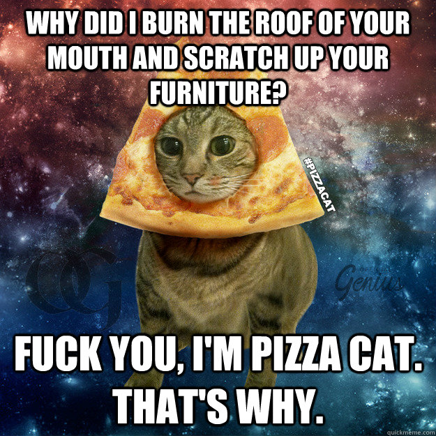 Why did I burn the roof of your mouth and scratch up your furniture?  Fuck you, I'm Pizza Cat. That's why.  