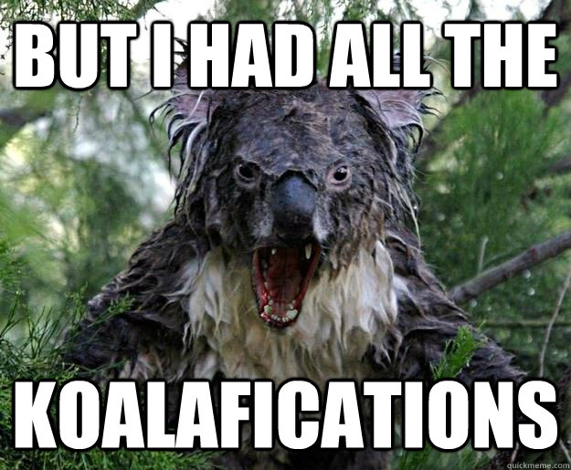 But i had all the koalafications - But i had all the koalafications  Rage Koala