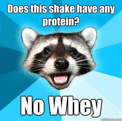 Does this shake have any protein? No Whey  Lame Pun Coon