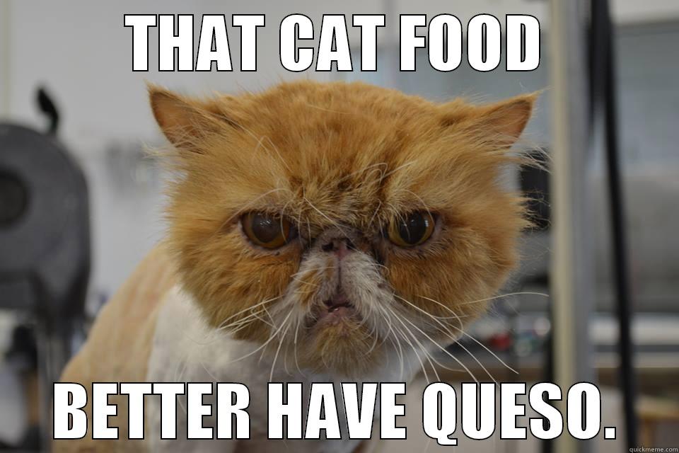 THAT CAT FOOD BETTER HAVE QUESO. Misc