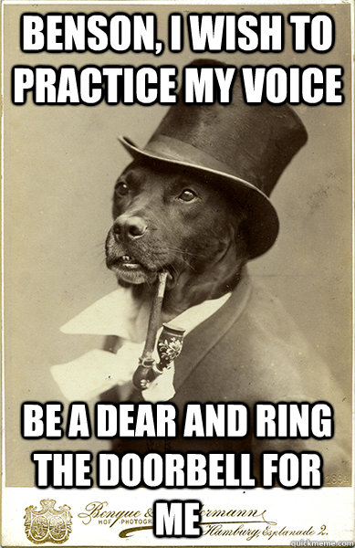 Benson, I wish to practice my voice be a dear and ring the doorbell for me  Old Money Dog