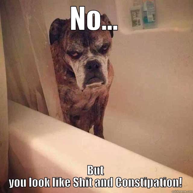 NO... BUT YOU LOOK LIKE SHIT AND CONSTIPATION! Misc