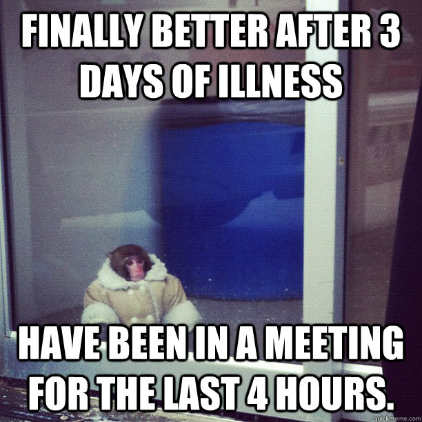 Finally better after 3 days of illness Have been in a meeting for the last 4 hours.  Ikea Monkey