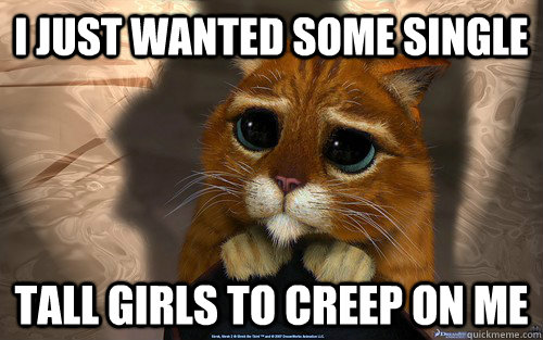 I just wanted some single Tall girls to creep on me - I just wanted some single Tall girls to creep on me  Sad cat