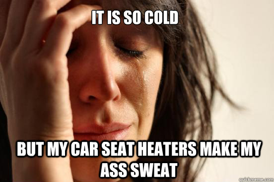 it is so cold but my car seat heaters make my ass sweat  First World Problems