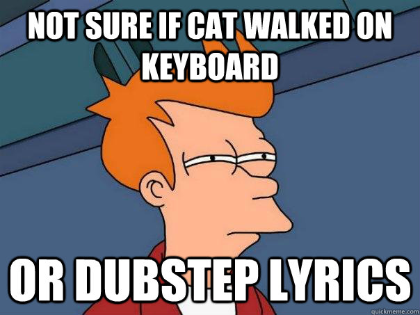 Not sure if cat walked on keyboard Or dubstep lyrics  Futurama Fry