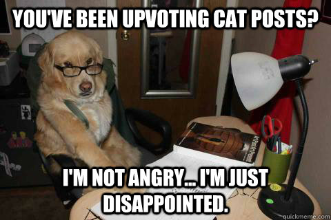 You've been upvoting cat posts? I'm not angry... I'm just disappointed.  Disapproving Dad Dog