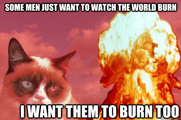 Some men just want to watch the world burn I want them to burn too  Evil Grumpy Cat