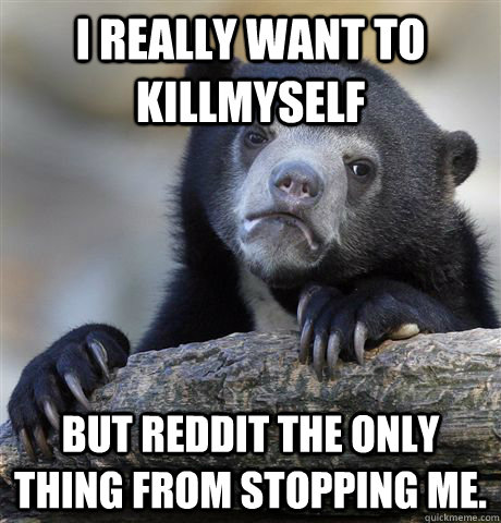 I REALLY WANT TO KILLmyself But Reddit the only thing from stopping me. - I REALLY WANT TO KILLmyself But Reddit the only thing from stopping me.  Confession Bear
