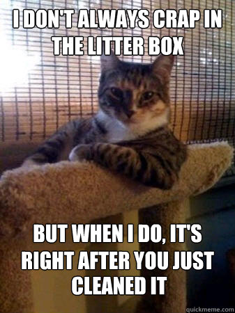I don't always crap in the litter box But when I do, it's right after you just cleaned it  The Most Interesting Cat in the World